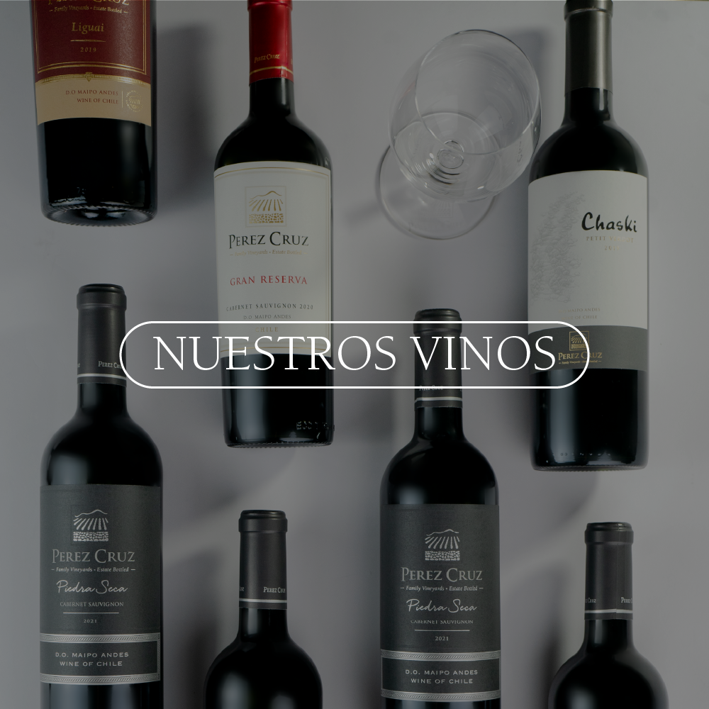 NUESTROS VINOS