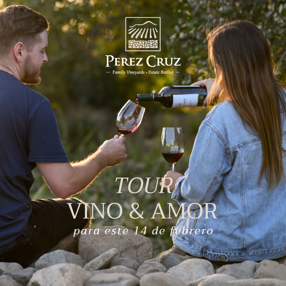 Día del amor en Viña Perez Cruz – Tour y Degustación al atardecer